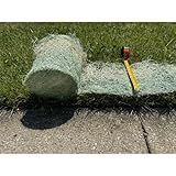 Erosion Control Edging Roll - 1' x 112.5' - Green Erosion Control Blanket Landscape Roll, Erosion Control Blanket, Grass Pro, Landscaping Roll (1 Pack)