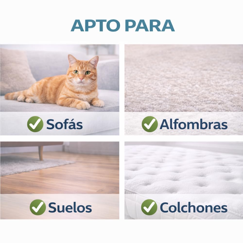 Limpiador de Manchas y Olores para Mascotas | Elimina Orina, Heces, Comida y Huellas | Evita Marcaje Repetido | Para Suelos, Alfombras y Tapicerías | Varios formatos (5 Litros)
