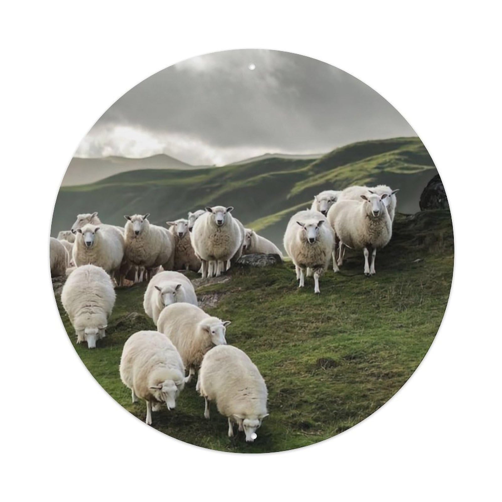 Welsh Mountain Sheep Animal Artwork Vintage Metal Tin Sign Plaque Wall Decor for Cafe, Club Bar, Office, Garden Metal Poster 8x8Inch