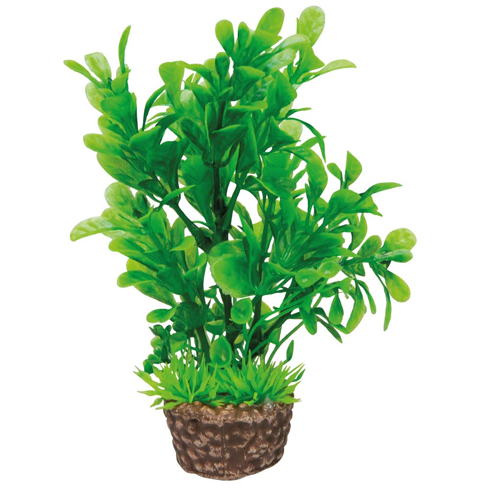 Hobby Aquaristik Artificial Plant Flora Stone 3 I Deceptively Real Looking I 4 x 13 cm