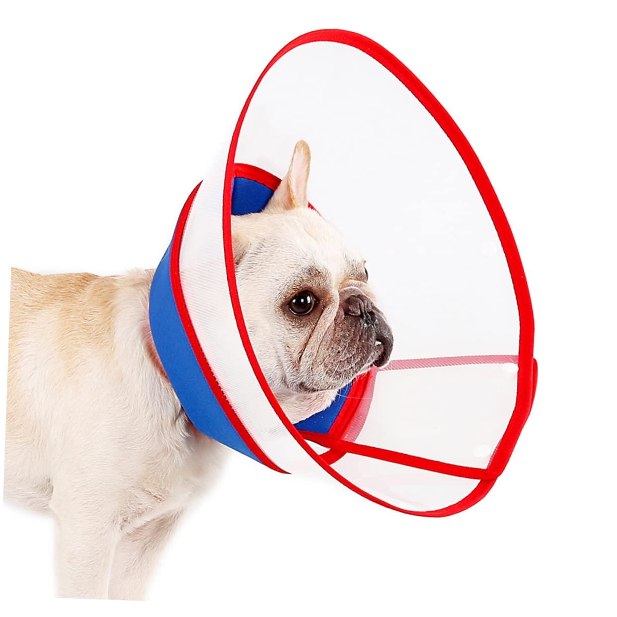 minkissy 2pezzi Collare di Regolabile per Cani Elisabettiano Trasparente Comfort Brevettato Facile da Indossare Protezione Post-operatoria per Animali Domestici