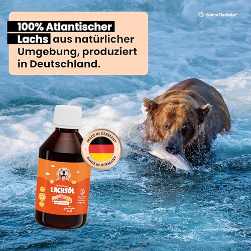 Wahre Tierliebe Lachsöl aus 100% atlantischem Lachs I Fischöl mit Reichhaltigen Omega 3 & 6 Fettsäuren als Perfekte Nahrungsergänzung, Made in Germany