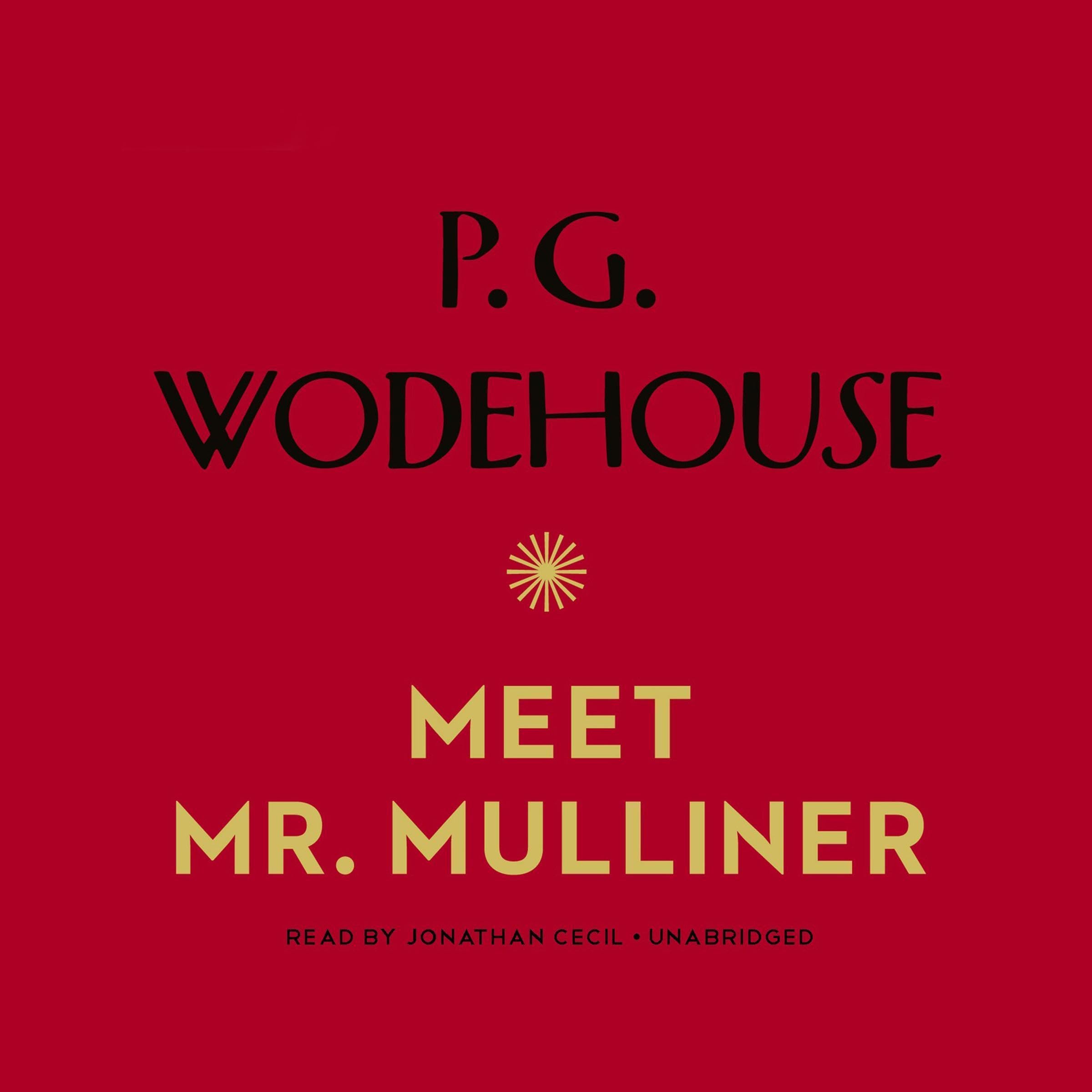 Cover art for Meet Mr. Mulliner