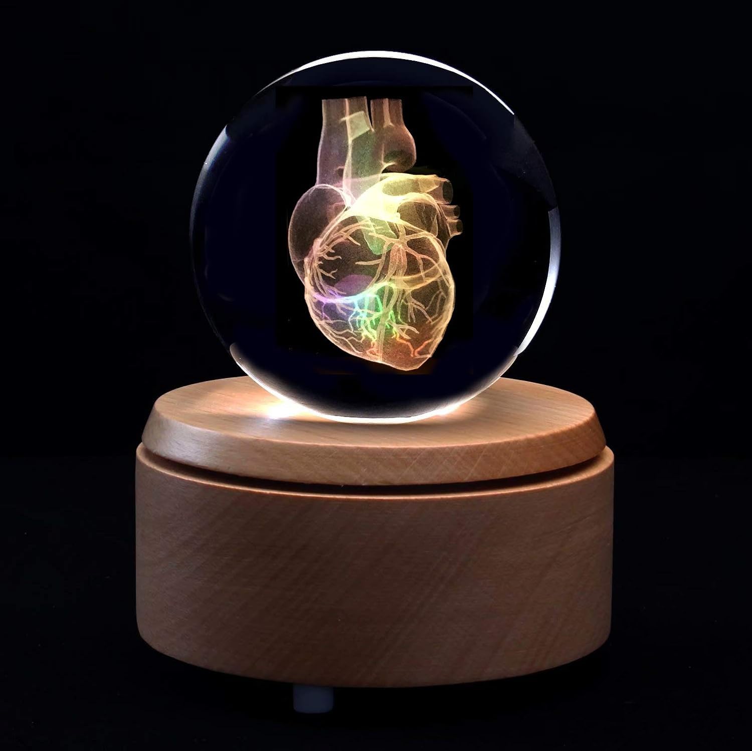 UIGJIOG Crystal Glass Ball Human Heart Anatomical Model 3D Paperweight Laser Etched in Crystal Glass Ball Science Teaching Tool Included Base