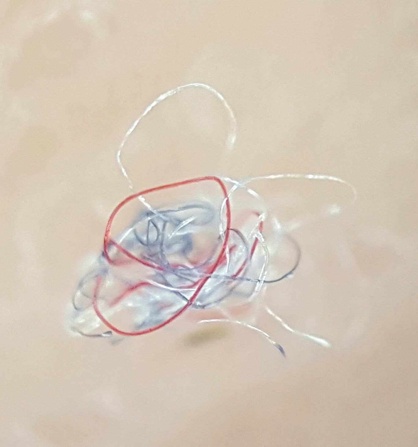 ¡¡¡Oh Dios mío!!!!