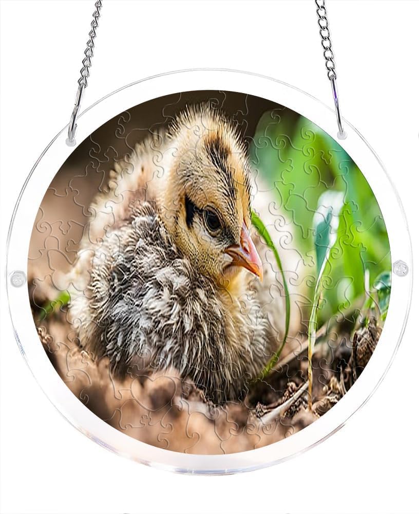 Baby Chick in Nature Wildlife Acrylic Jigsaw Puzzles Suncatcher, 8.2 Inch Window Hanging Suncatcher Acrylic Puzzle, DIY Home Decor Art Gift
