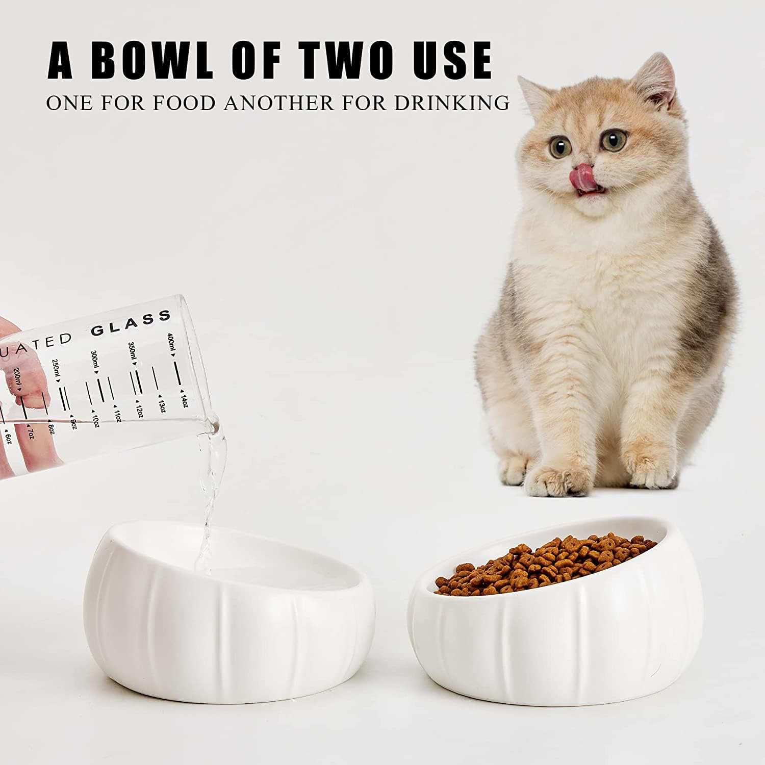 Tilted Ceramic Cat Bowls 111