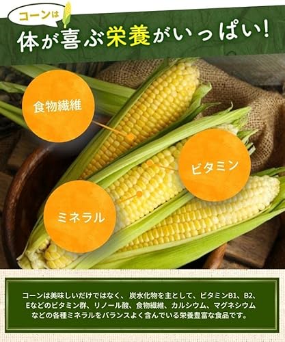 お茶の大福園 コーン茶 とうもろこし茶 ティーバッグ 40包