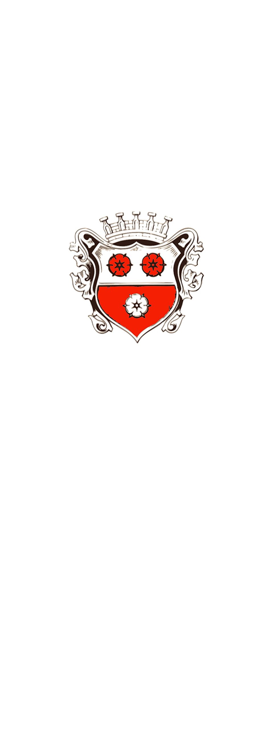 Drapeau Moosburg a.d.Isar de 6m² au format portrait vertical 400x150cm