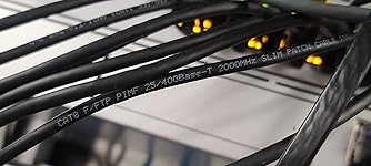 Review Image by Christopher Powell Christopher Powell