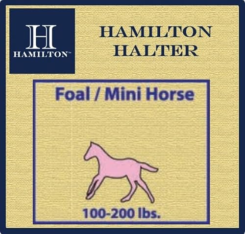Miniatura 3 de Hamilton Pet & Equine Hamilton 3/4" Nylon Adjustable Chin Horse Halter, Foal, Red Rojo -,Negro -,Azul,Mango,Púrpura,Verde oscuro,Azul