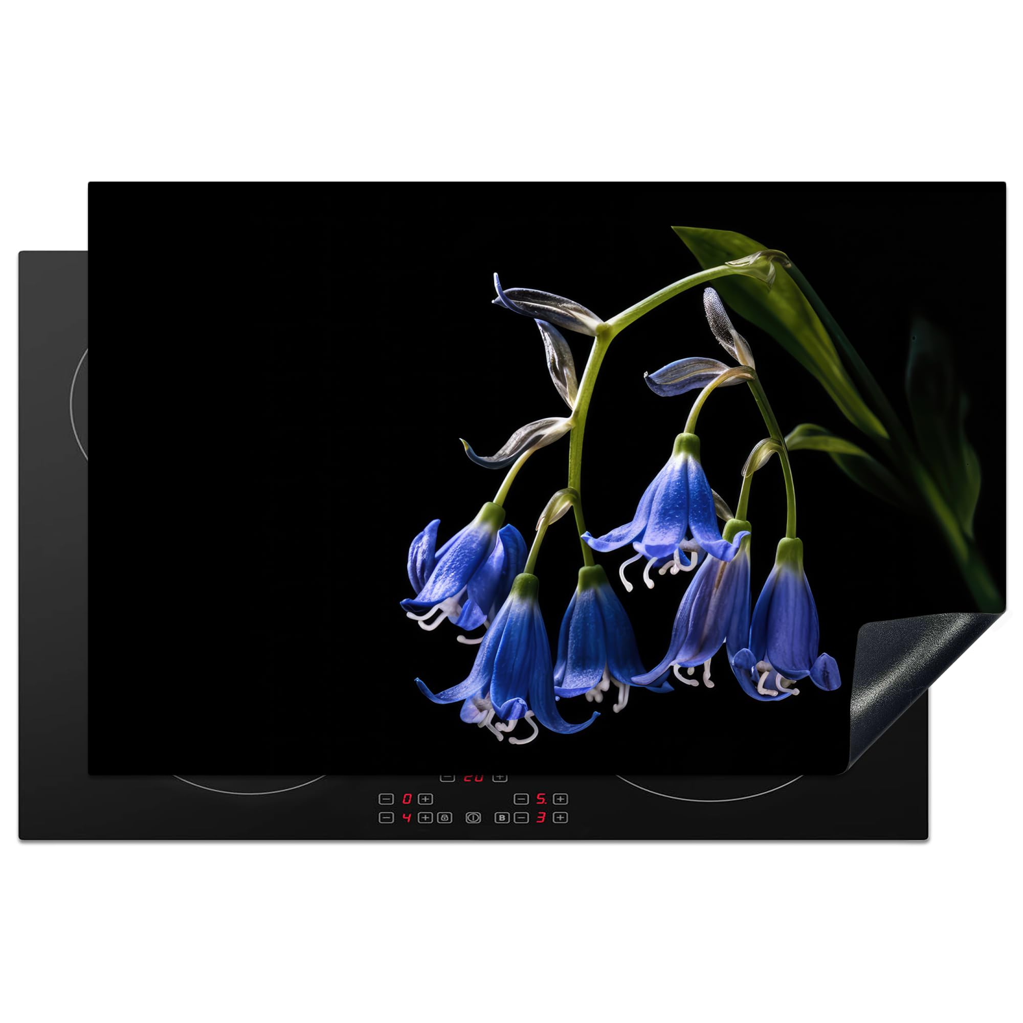 KitchenYeah© Herdabdeckplatte Einteilig Küche Herdabdeckung Induktionsfeld Ceranfeld Herdabdeckplatten Vinyl Matte Aufrollbar Hyazinthe - Blumen - Blau - Natur - Schwarz - 80x52 cm