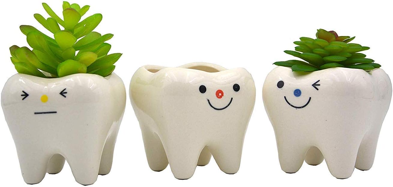 Mini Shaped Planter Modern Style Teeth Pots Ceramic Flower Pot Plant Pots Set for Small Succulent (Red)