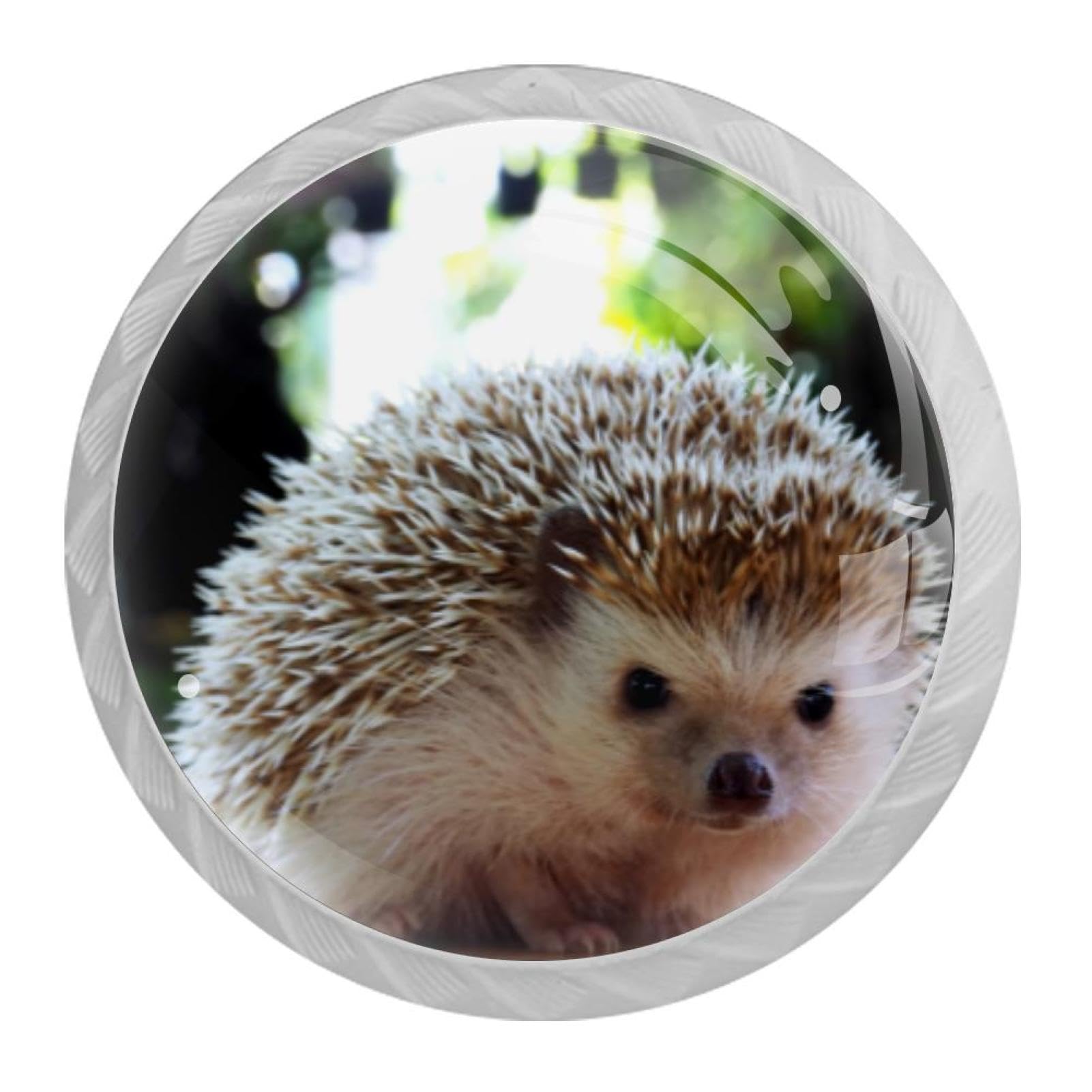 Tqmspg Multi Animal Hedgehog