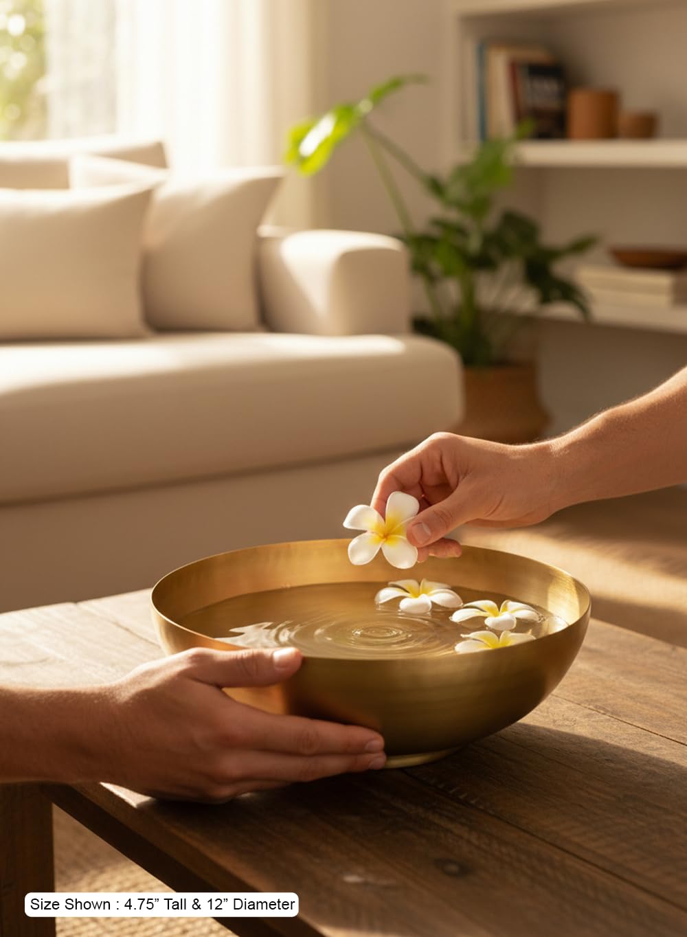 Amazon.co.jp: Serene Spaces Living アンティーク真鍮装飾ボウル
