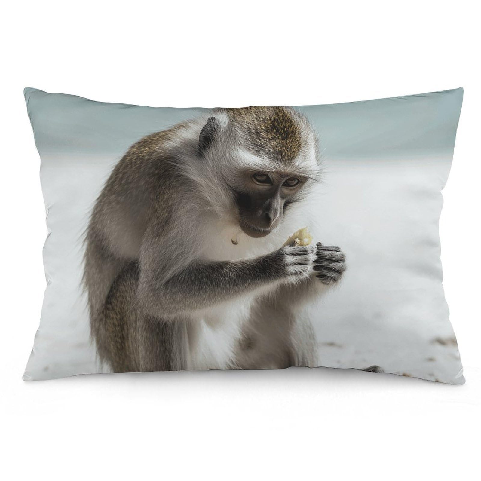 NTVOWPZO 2 Pack Decoration Throw Pillow Covers 16 "x24 Pillowcases Covers Monkey on The Ground Pillowcases Modern Farmhouse Home Decor Sofa Cushions Covers for Couch Bed Living Room