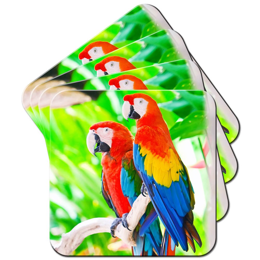 Fancy A Snuggle Pair Of Colourful Red Macaws Coaster/Set of 4 Coasters