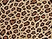 Leopard Tissue Paper 20x30" - 24 Sheets