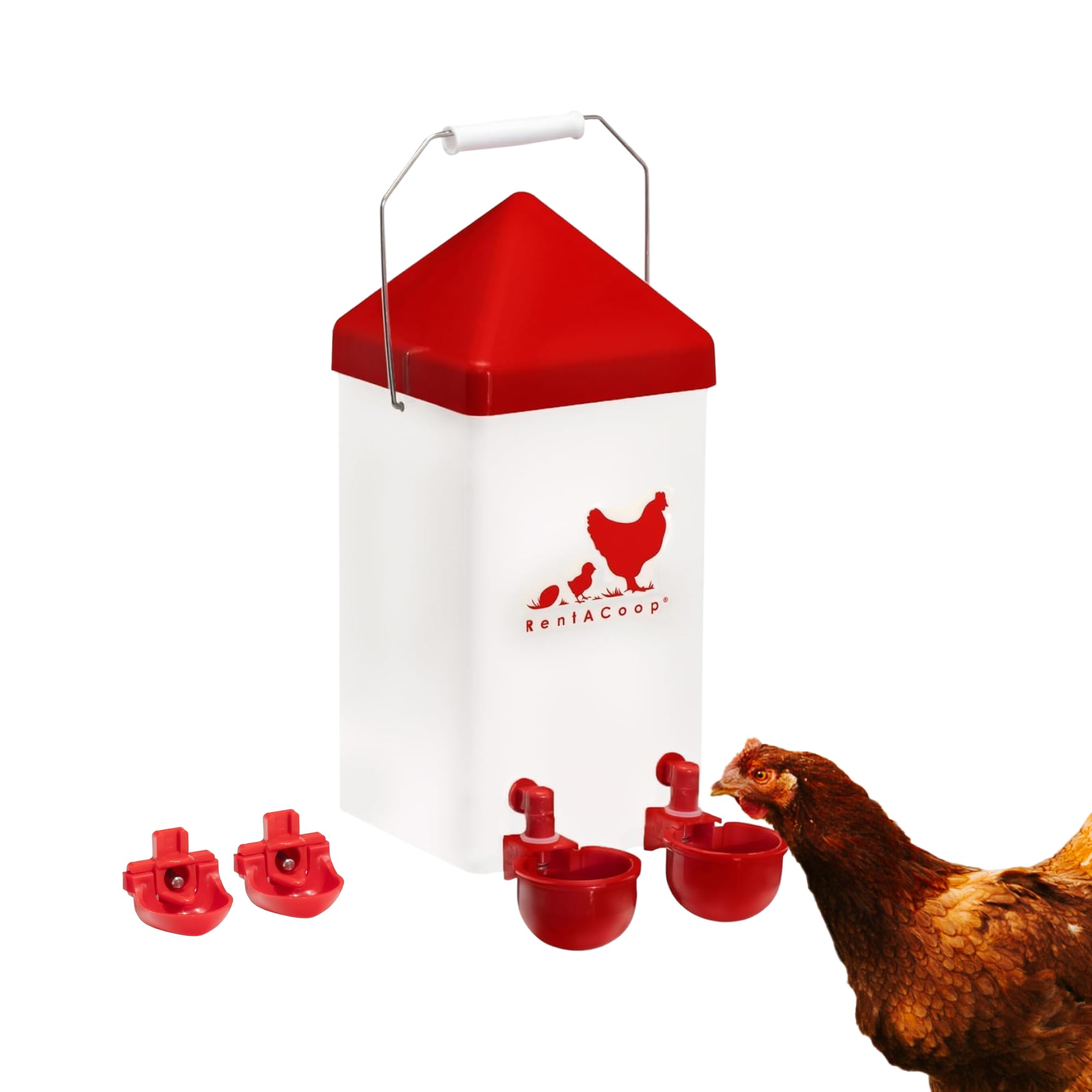 Regadera pequeña para jaula - Capacidad de 1 galón para pollitos/codornices/palomas/aves de juego