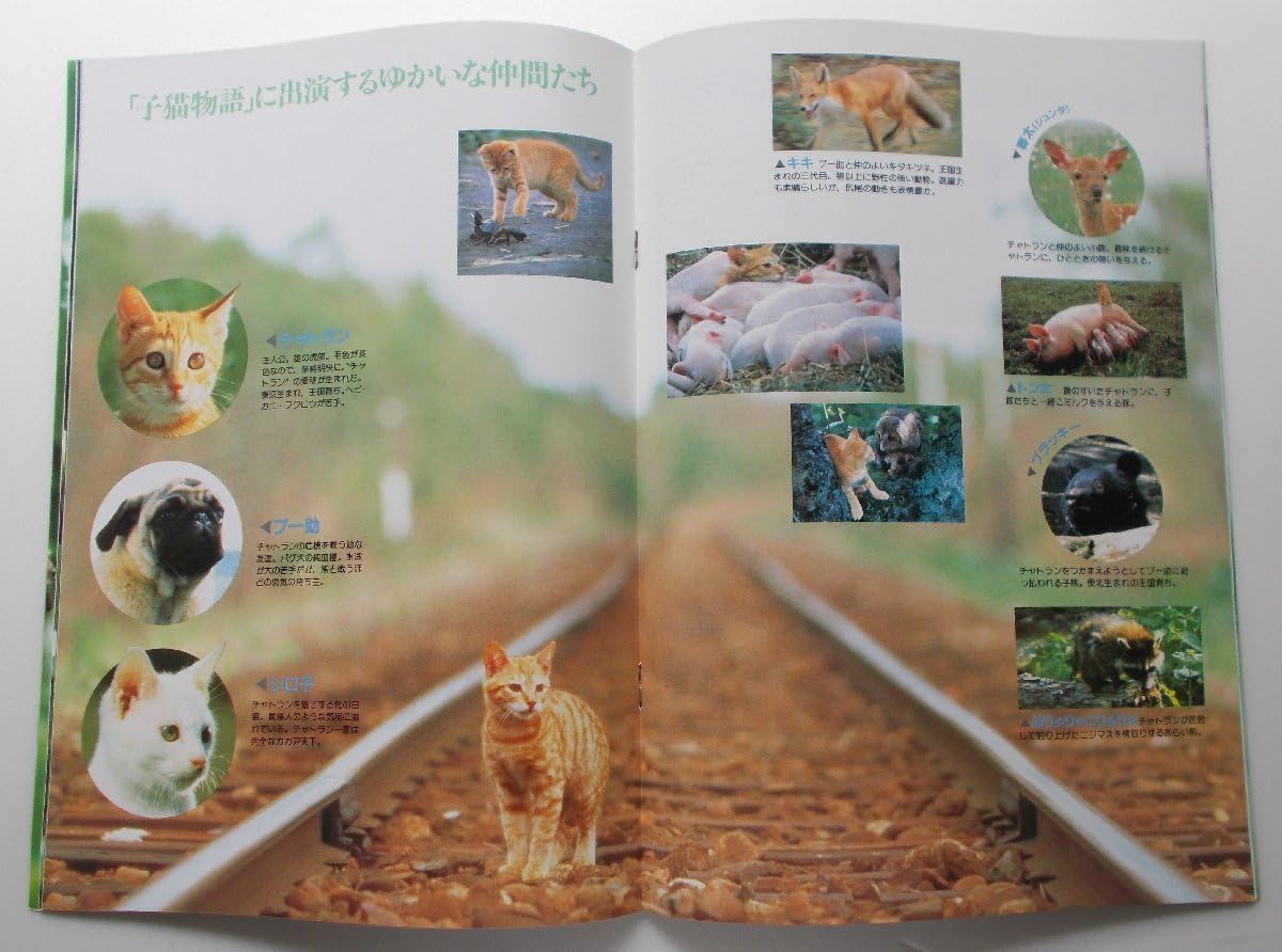 Amazon.co.jp: 映画パンフレット 子猫物語／畑正憲 市川崑 谷川俊太郎