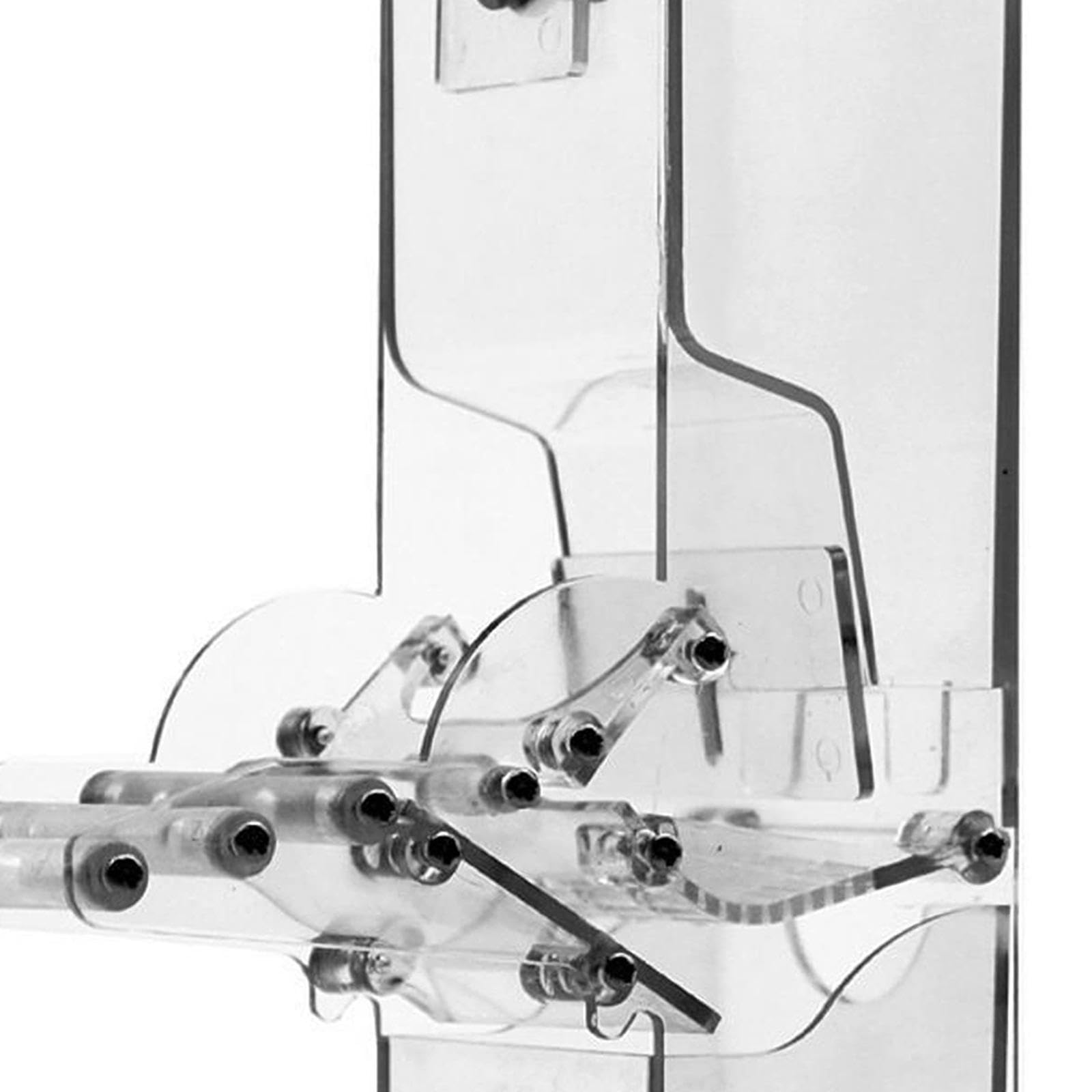 Mangeoire Oiseau Automatique pour Parrot Conteneur Aliments Suspendu sans Débordement Amovible avec Poteau Adaptée au Nourrissage des Perruches