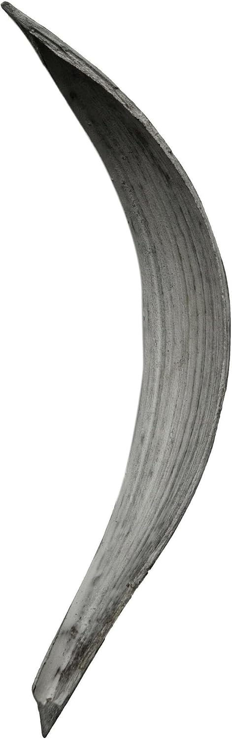 Vickerman Natural Palm Paddle 6" to 12" Height, Real Preserved Palm Decor for Home or Everyday Arrangements, 32 to 37Pieces Per Pack