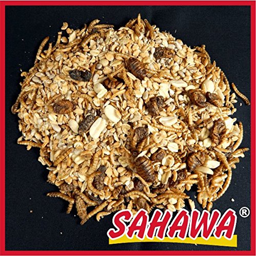 Preisvergleich Produktbild Sahawa® Premium Meisenfutter 3 L Beutel, Wintervogelfutter, Meisen, Fettfutter, Streufutter, Körnerfutter, Waldvogelfutter
