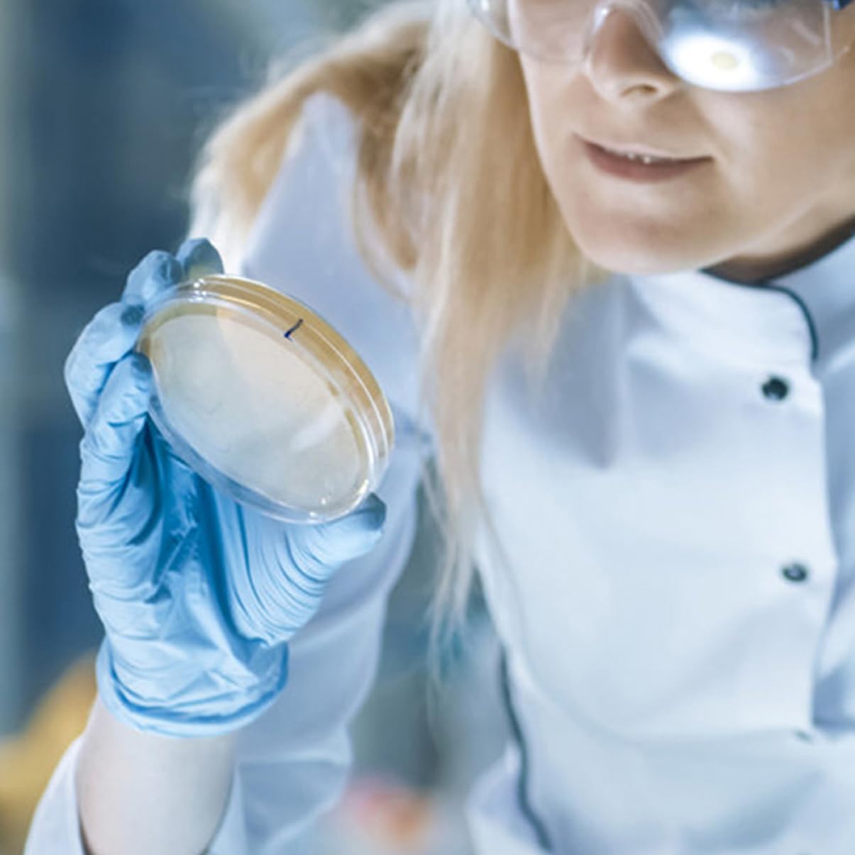 ULTECHNOVO 60piezas Placas De Petri Agar Nutritivo Prellenado Para Experimentos Científicos y De Microorganismos