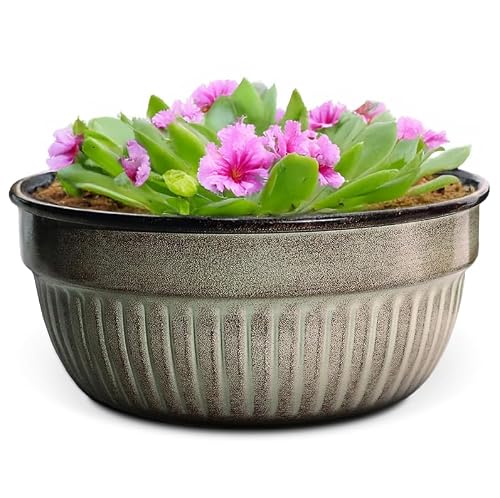 Headwind Glazed Ironstone Boutique Collection Cascade Bowl Plant Pot – Greige Color 8 Inch Pot for Indoor Plants - Planters for Indoor Plants - Ideal Succulent Planters by Robert Allen