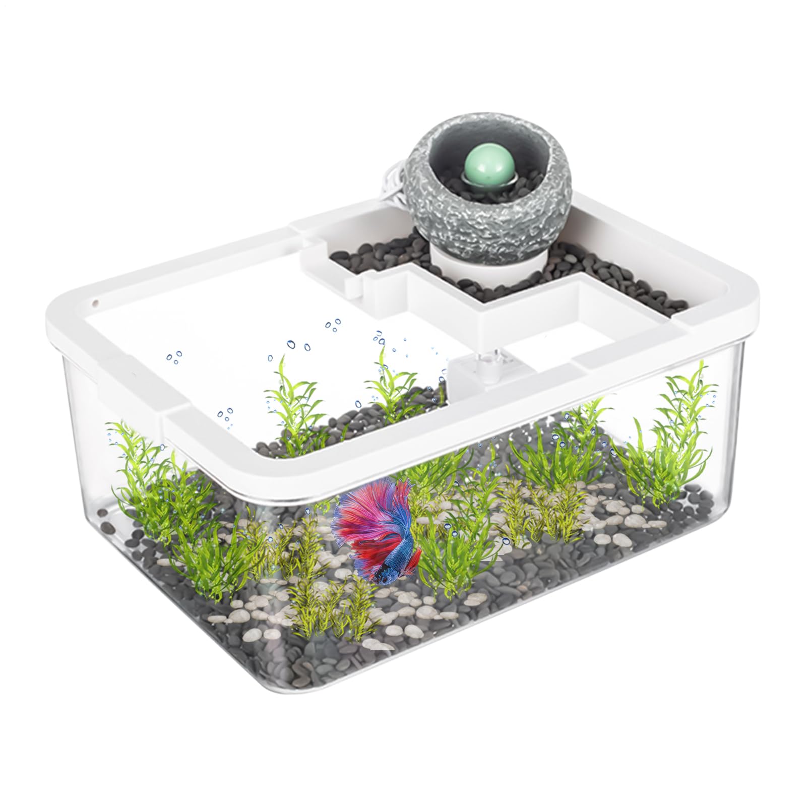 Petit aquarium - Mini aquarium de bureau avec pompe d'éclairage USB, design transparent stable | Affichage d'eau pratique pour tortues, chambre à coucher, bureau, bibliothèque