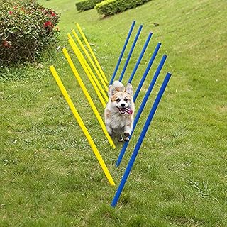 Pet Prime Outdoor Dog Obstacle Agility Training Exercise Equipment Kit Dog Agility Equipment Set - 12PCS Weave Pole Set
