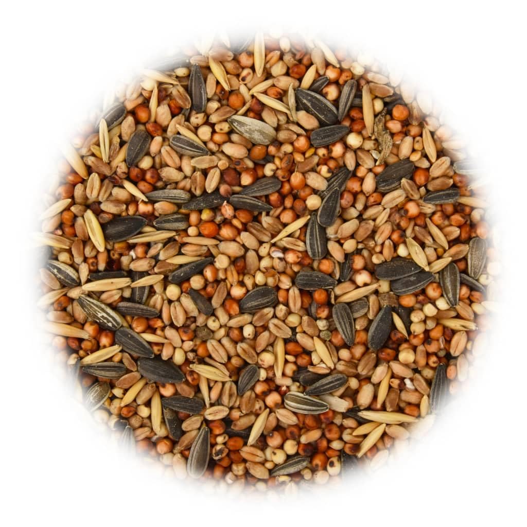 Comida para pájaros de 25 kg, mezcla de granos con semillas de girasol y albóndigas de carbonero para aves silvestres y pájaros cantores, alimentación durante todo el año, protección de la