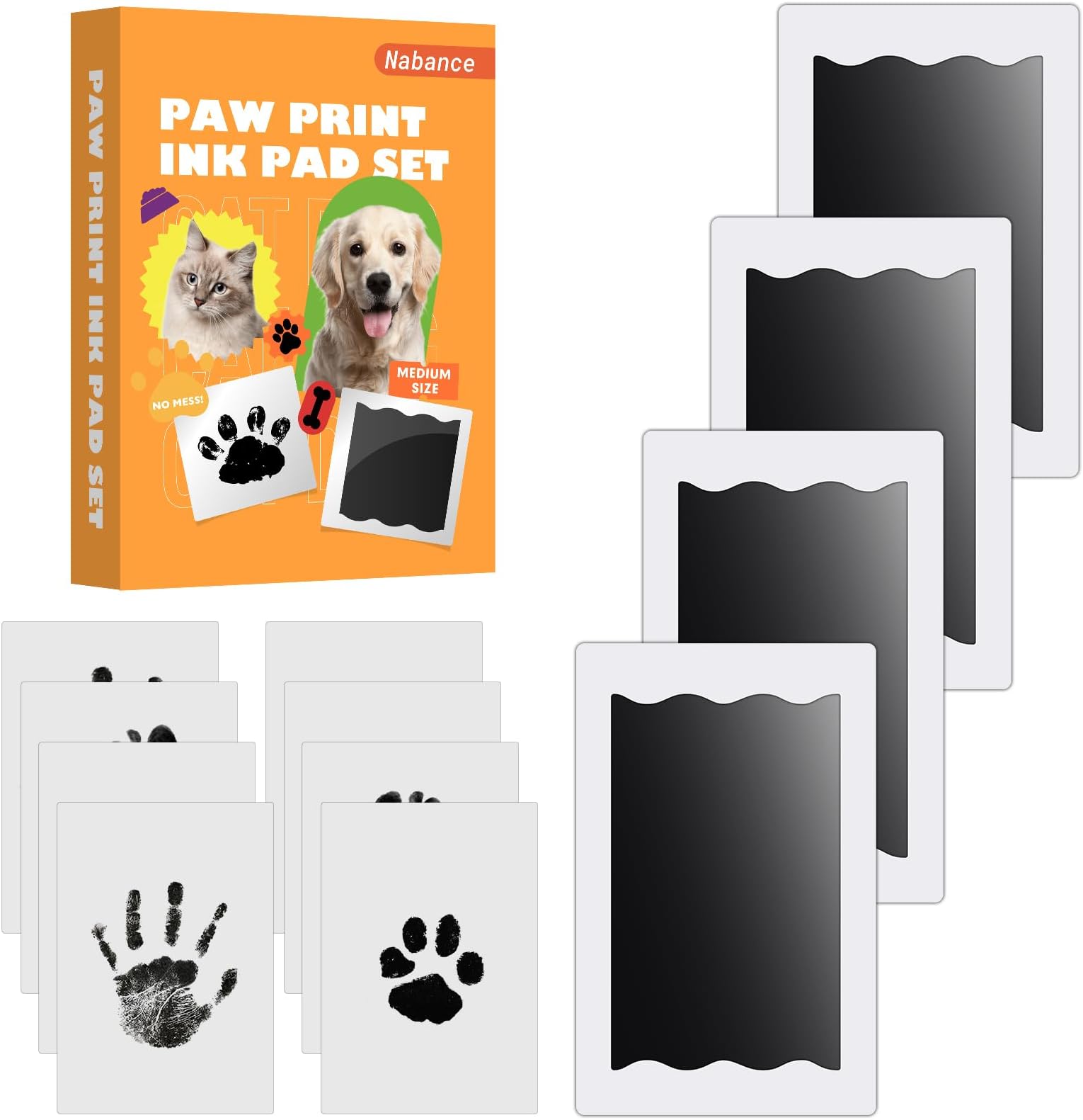 Pet Paw Print Kit