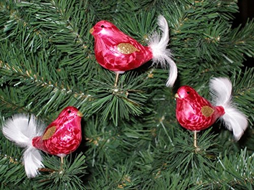 3 TLG. Glas Vogel Set in Ice Rot Gold - Christbaumkugeln - Weihnachtsschmuck-Christbaumschmuck 3 TLG. Glas Vogel Set in Ice Rot Gold - Christbaumkugeln - Weihnachtsschmuck-Christbaumschmuck