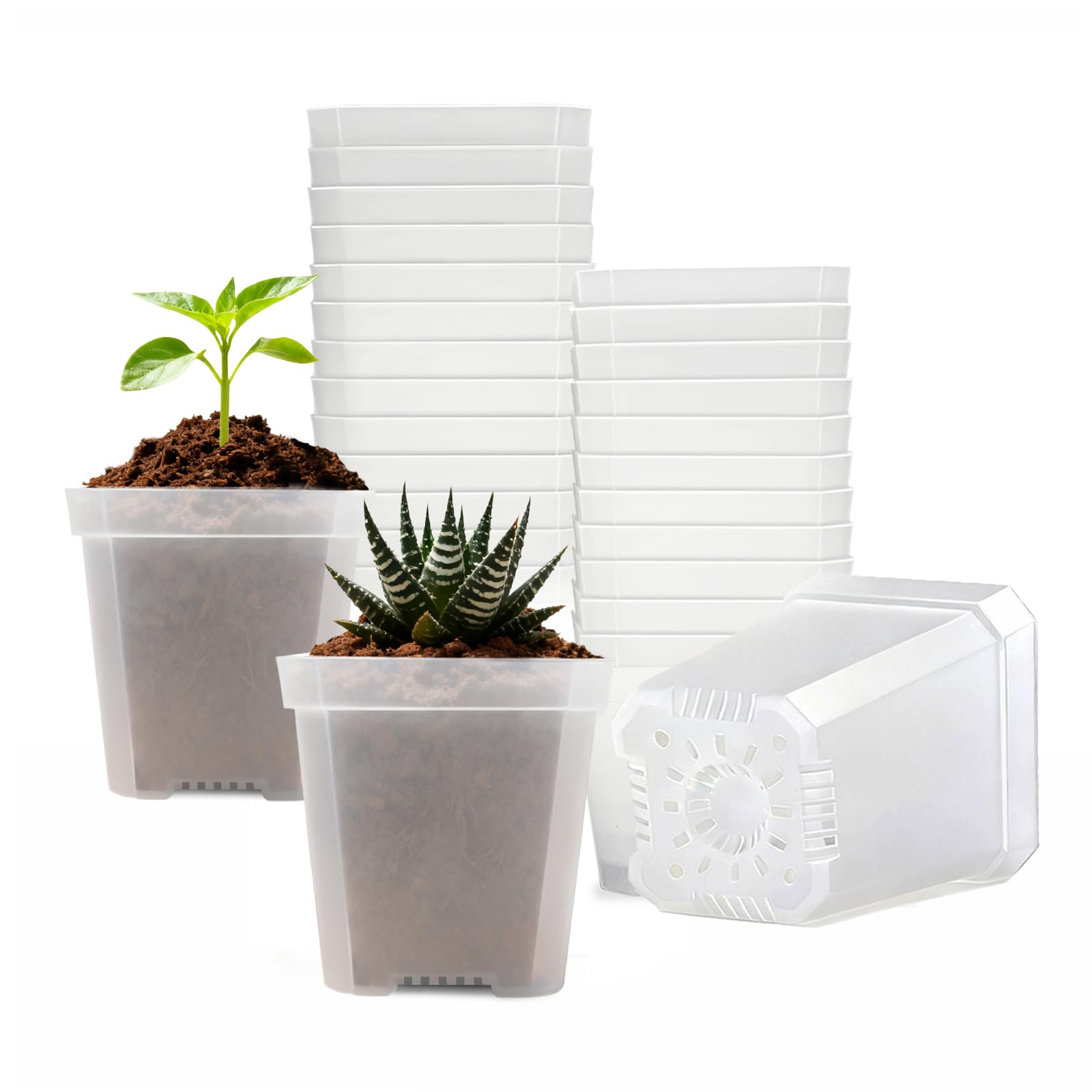 Clear Nursery Pots with Drainage 30 Pack