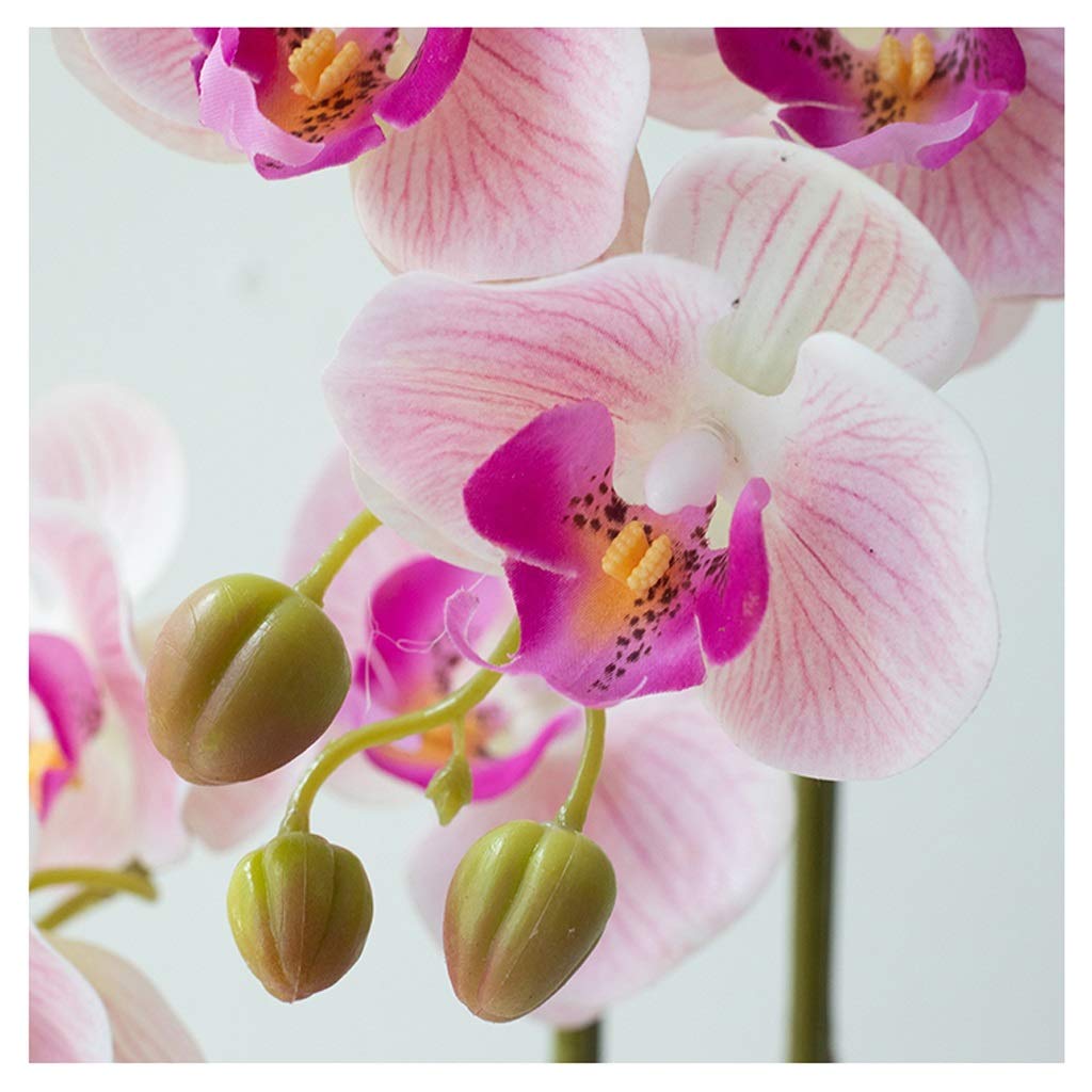 Ensemble de fleurs artificielles Phalaenopsis avec pot de fleurs, orchidée artificielle dans un vase, fausses fleurs pour le salon, belles fleurs et vases artificiels (couleur : B-3 Bra Interesting