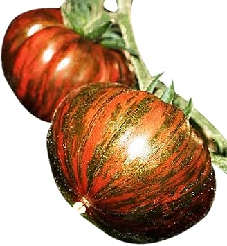 Chocolate Stripe Tomato Seeds - Large Tomato with Brown Striping
