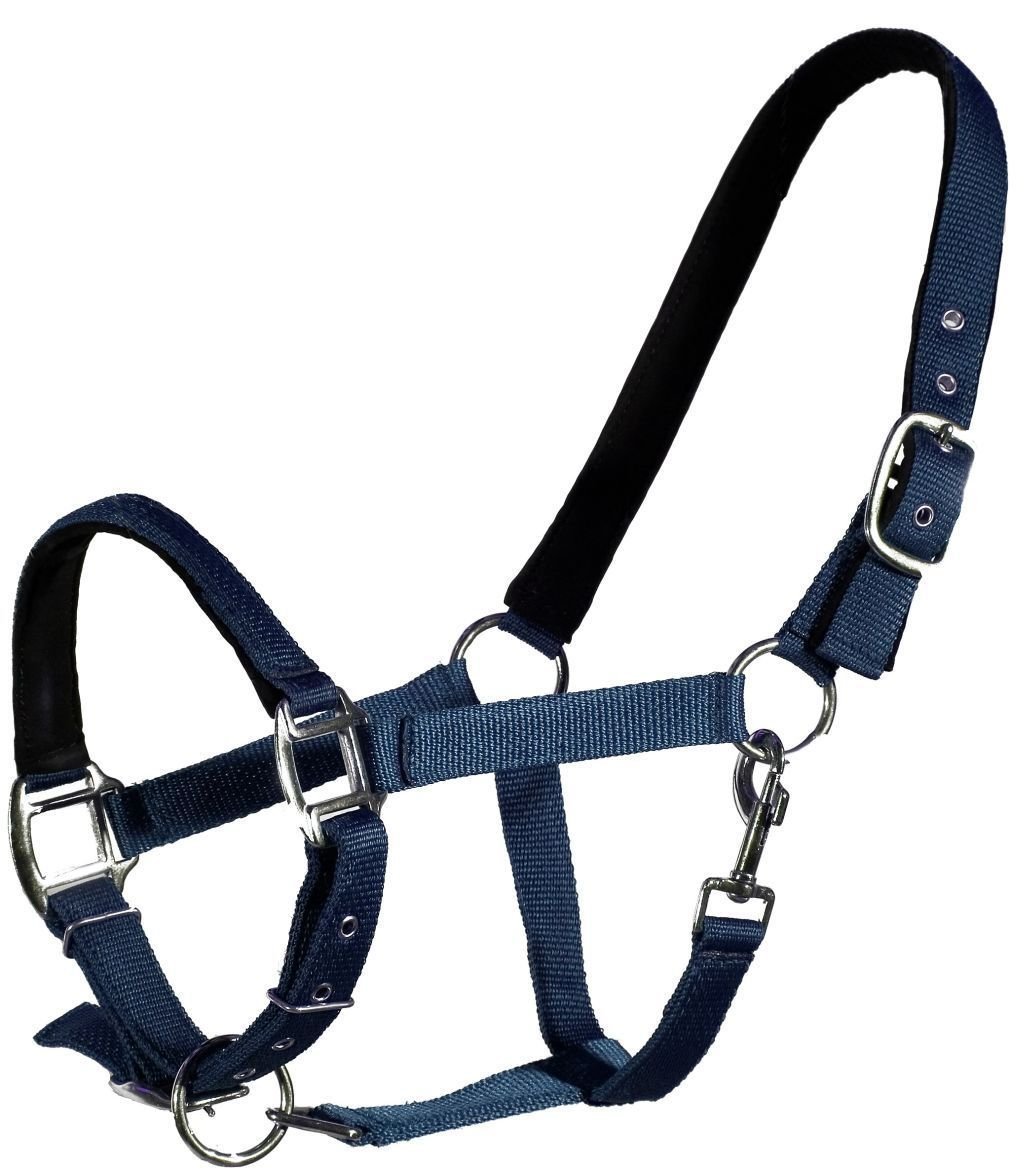 Cabestro doble QHP de nylon reforzado con testera ajustable para caballos en cuadra