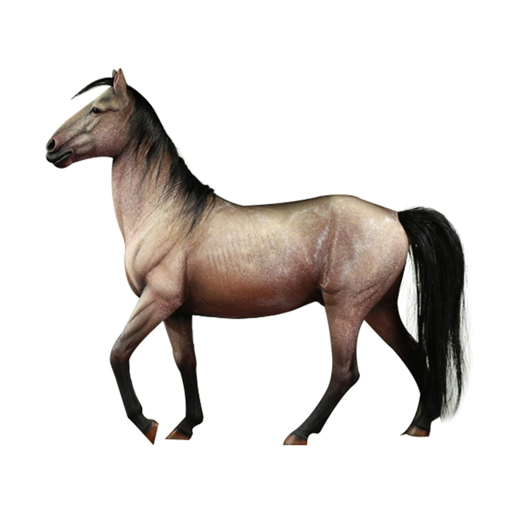 Amazon | BACALYSO | MR.Z 1/6 サイズ 三河馬 軍馬 フィギュア 35.5cm