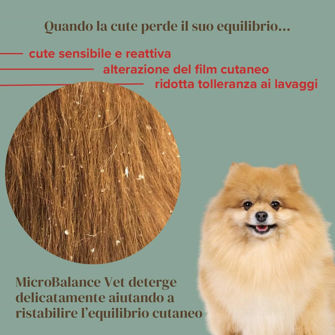 MicroBalance Vet - Shampoo per Cani con Dermatite Desquamativa - Per Cute con Sovrainfezione, Prurito e Cattivo Odore - Senza Alcol, Clorexidina, SLS/SLES e Siliconi - Per Tutte le Razze - 250ml