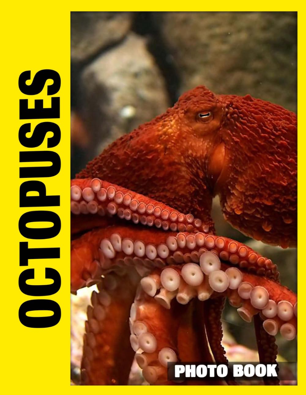 Octopuses Photo Book: Majestic Ocean Dwellers Showcased Through Stunning Underwater Photography Capture Unique Marine Life With Graceful Movement And Colorful Ocean Habitats