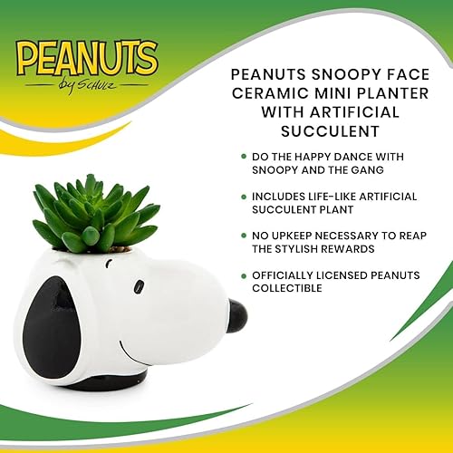Miniatura 7 de Peanuts Snoopy Face Ceramic Mini Planter with Artificial Succulent | Small Flower Pot, Faux Indoor Plants for Desk Shelf, Home Decor Trinket Tray |