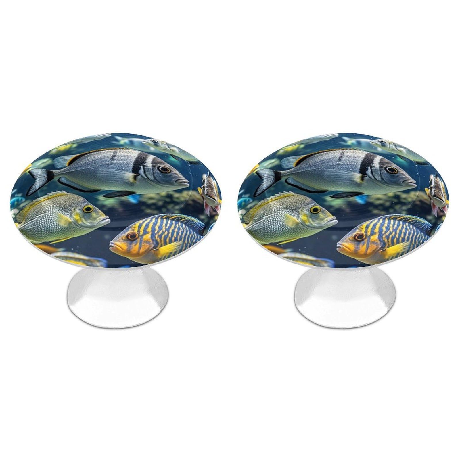 FekiLoot Round Cabinet Knob 2 Pack Kitchen Drawer Knobs Stainless Steel Round Drawer Pulls Modern Cabinet Hardware Different Fish Drawer Hardware for Dresser Closet Door Knobs