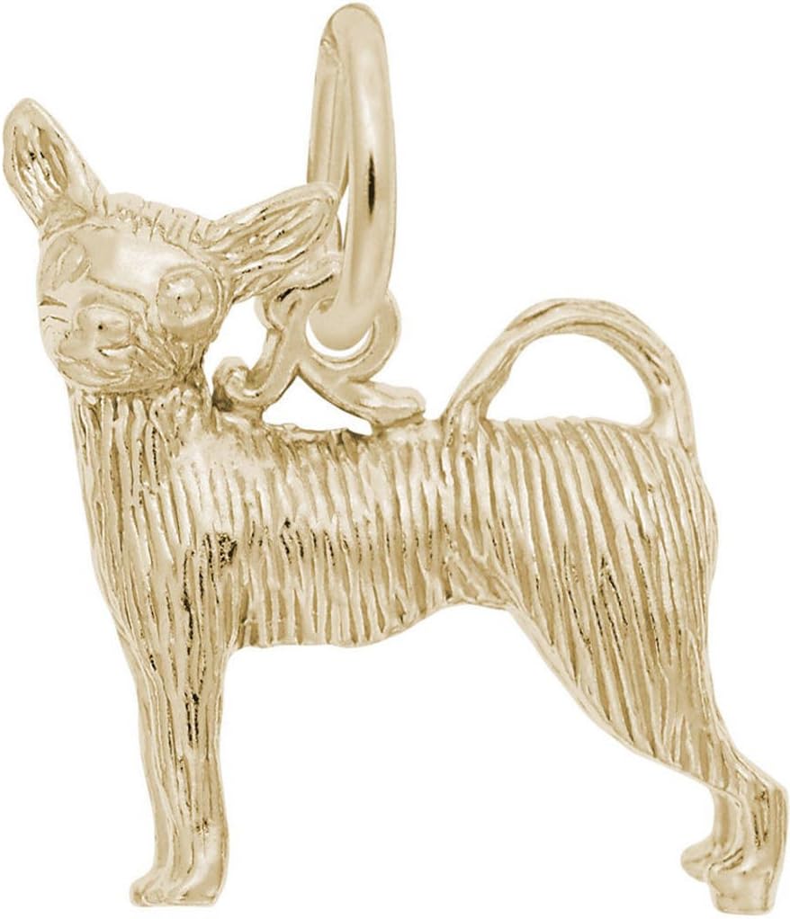 Rembrandt Chihuahua Charm