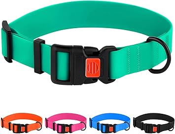 CollarDirect Adjustable Dog Collar Colorful Waterproof Pet Collars for Small Medium Large Dogs Puppy Pink Black Blue Mint Green Orange (Neck Fit 18