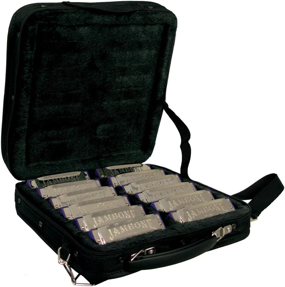JAMBONE JHM520case12S-JA Harmonica Set