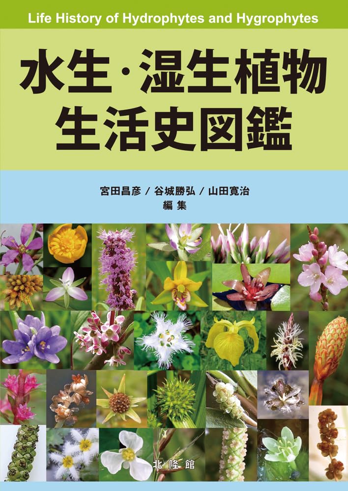 水生・湿生植物生活史図鑑 | 宮田昌彦, 谷城勝弘, 山田寛治 |本 | 通販