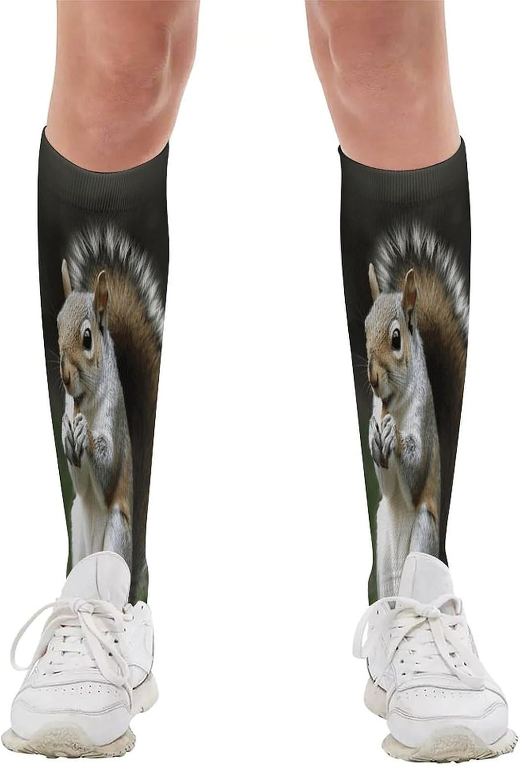 Squirrel Mid-Calf Socks Women Warm Knee High Socks Cozy Hiking Skiing Soft Boot Mid Calf Stocking Unisex