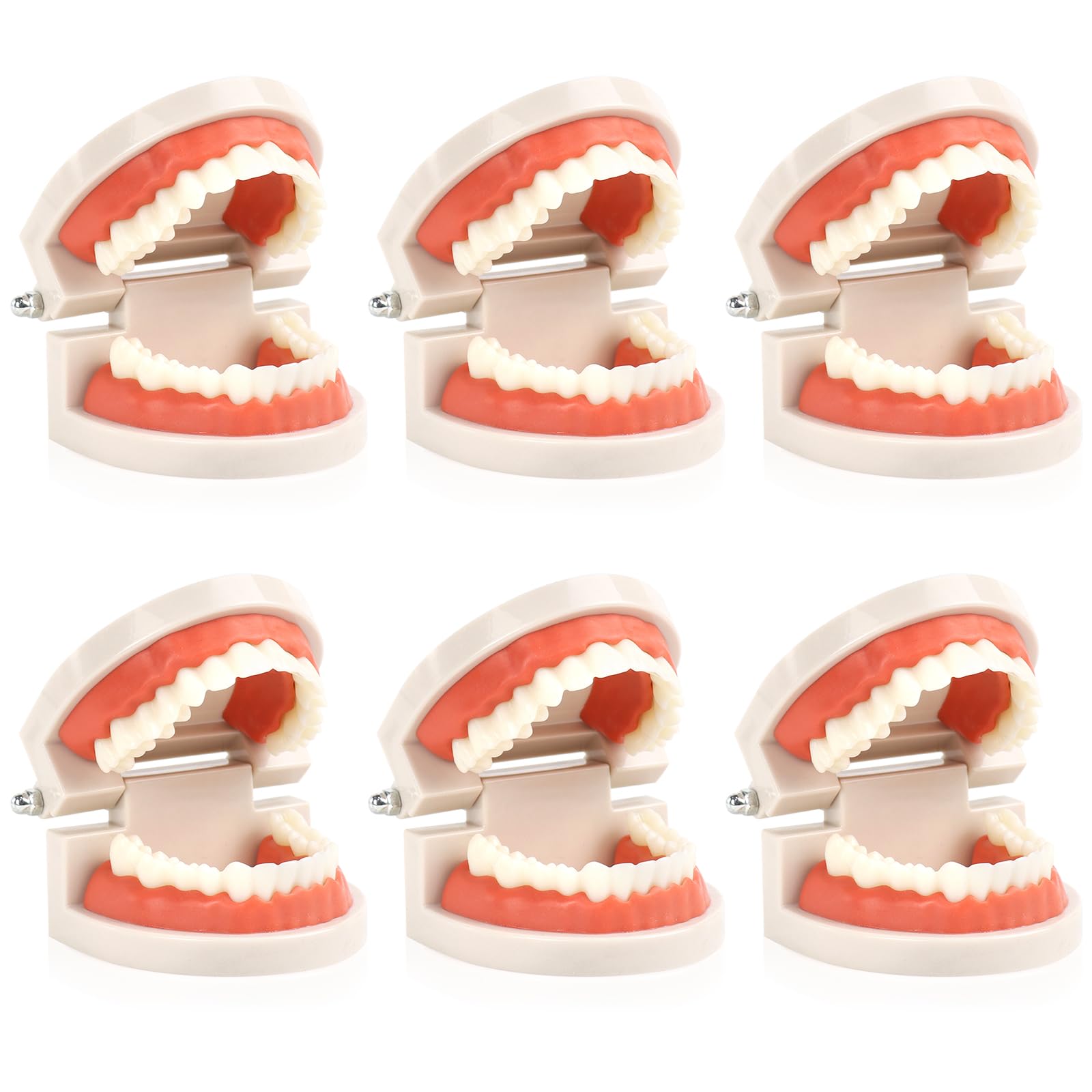 6 Pcs Dental Teeth Model, Dental Demonstration Model for Study, Standard Teeth Models, Plastic Mouth Models, Fake Mouth for Teaching, Dentist, Dentals Students, Clean Display