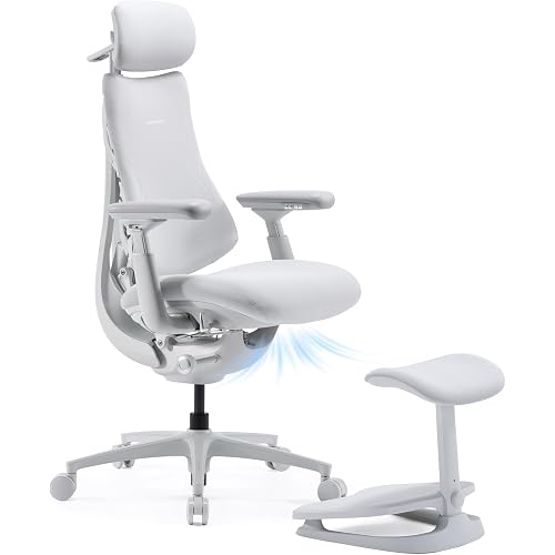 LiberNovo Omni PRO Dynamic Ergonomic Office Chair, Built-in Fan, 45cm